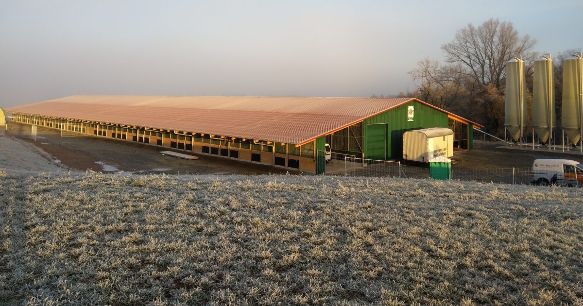 Bio-Legehennenstall | Hotraco Agri