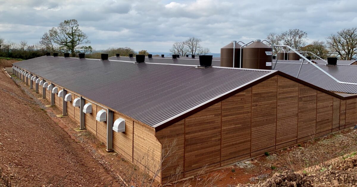 Broiler Breeder project | Hotraco Agri